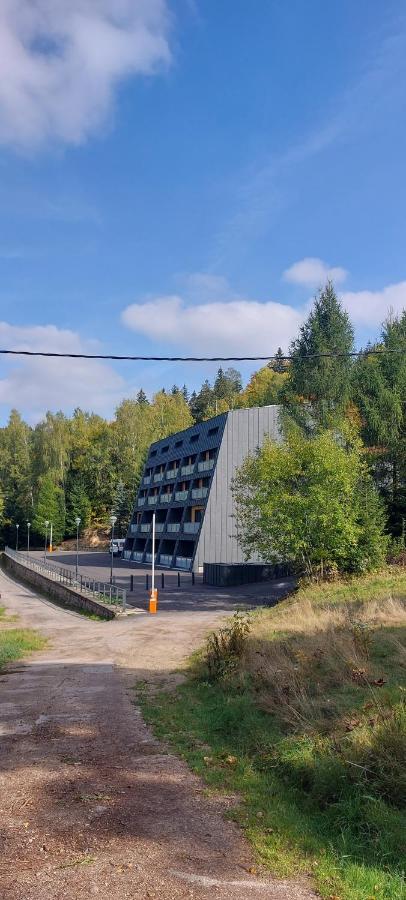 Apartman Na Kraji Lesa Janov nad Nisou Exterior foto
