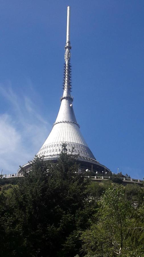 Apartman Na Kraji Lesa Janov nad Nisou Exterior foto