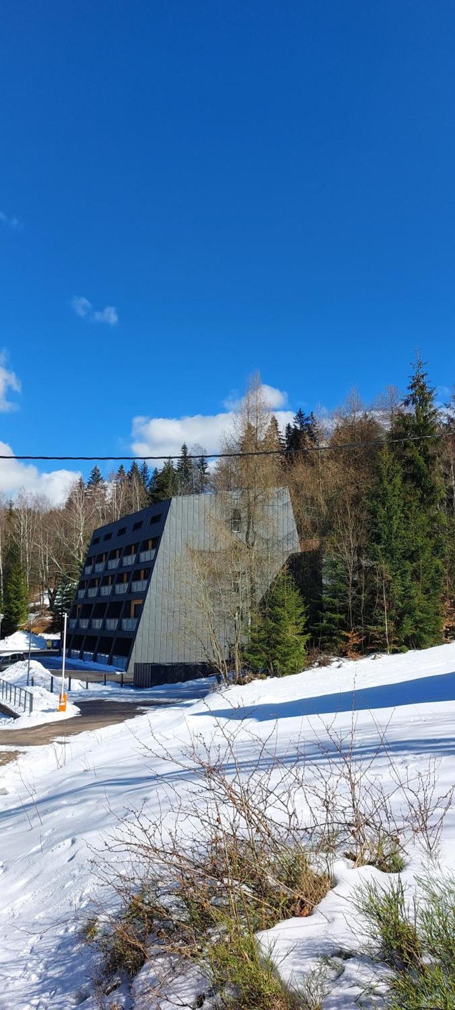 Apartman Na Kraji Lesa Janov nad Nisou Exterior foto