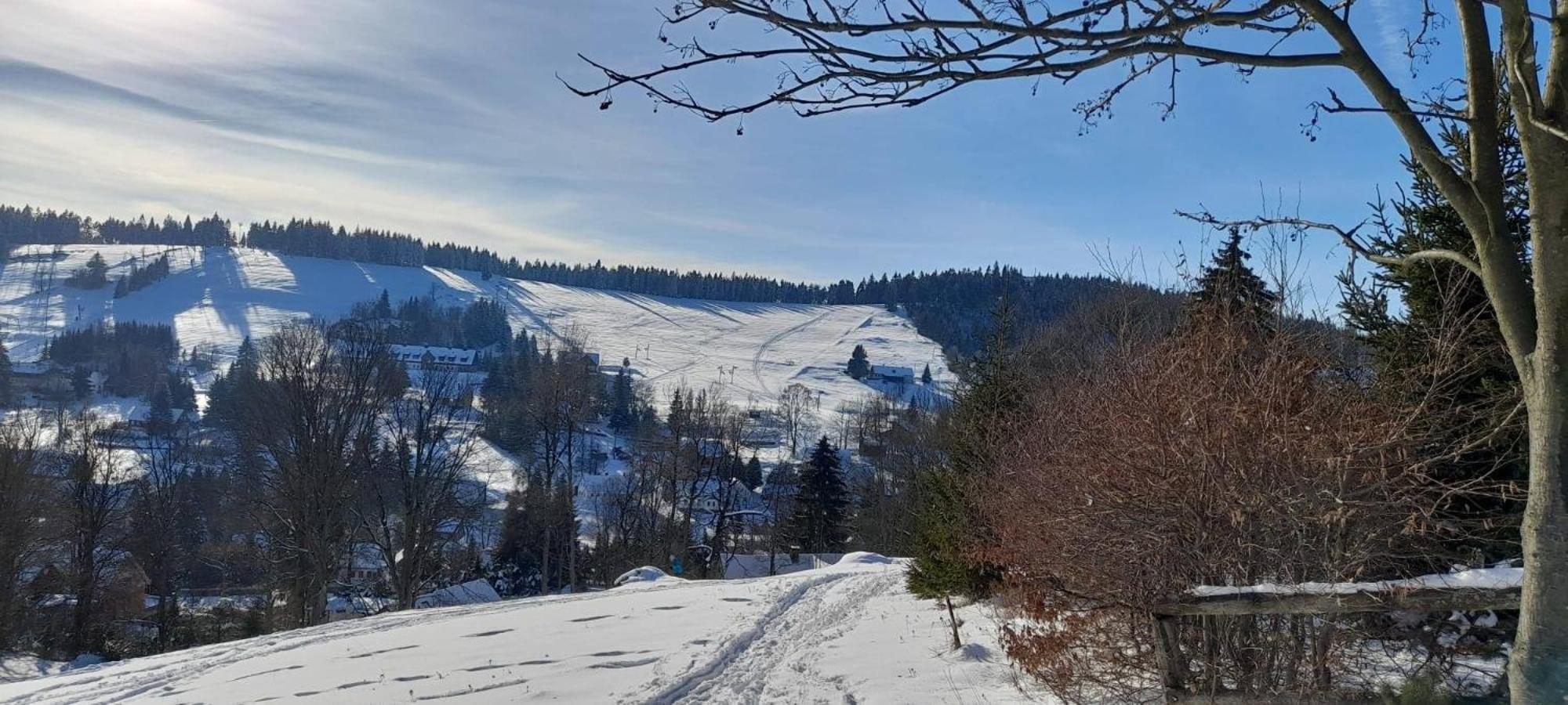 Apartman Na Kraji Lesa Janov nad Nisou Exterior foto