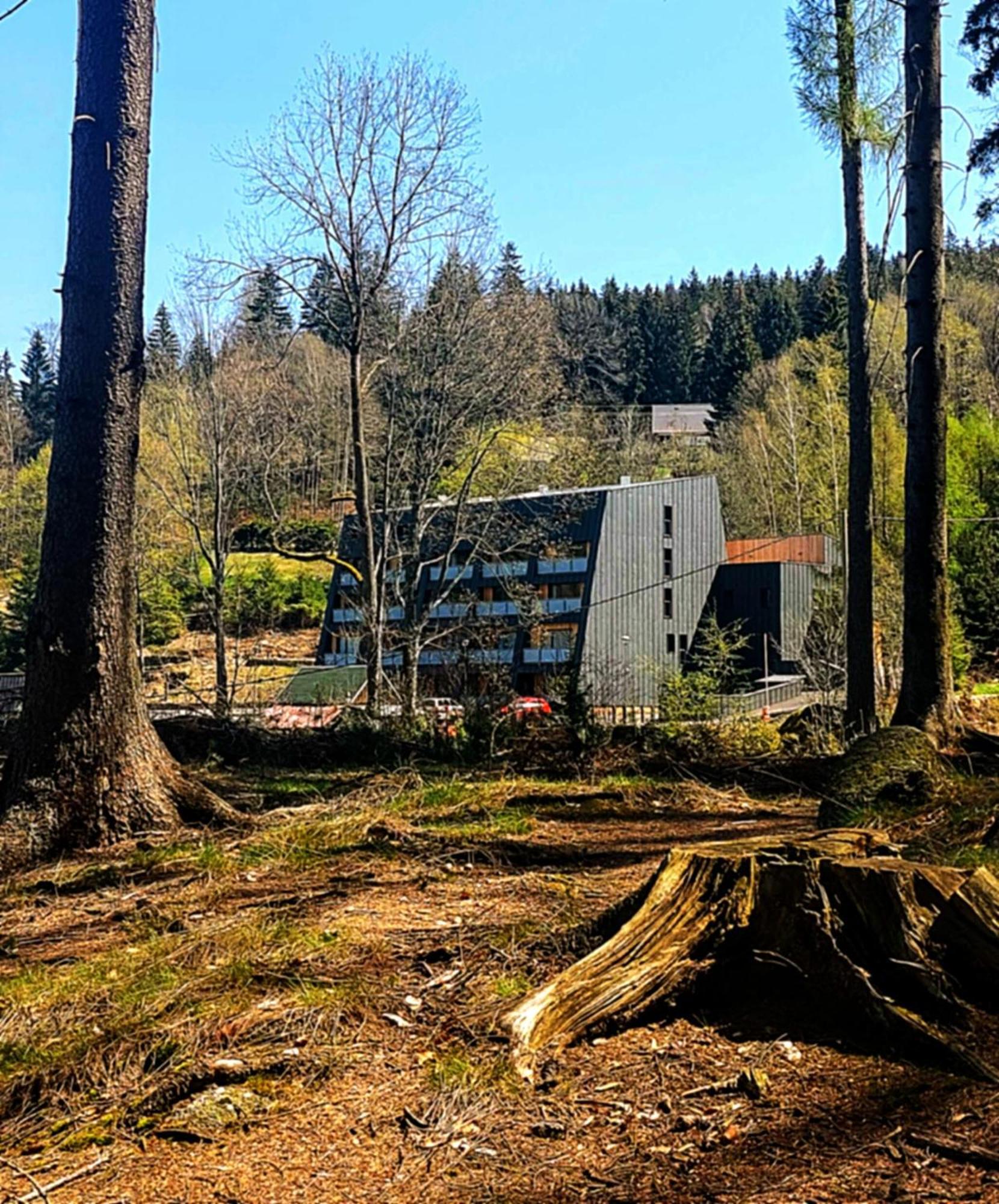 Apartman Na Kraji Lesa Janov nad Nisou Exterior foto